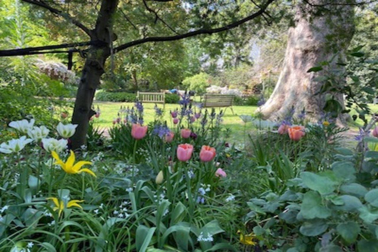 Eccleston Square Hotel London Bagian luar foto